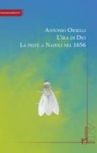 copertina del libro