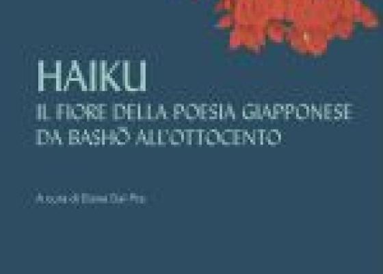 copertina del libro