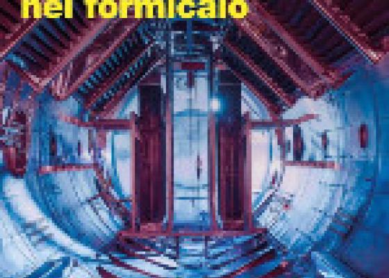 Lo scarabeo nel formicaio